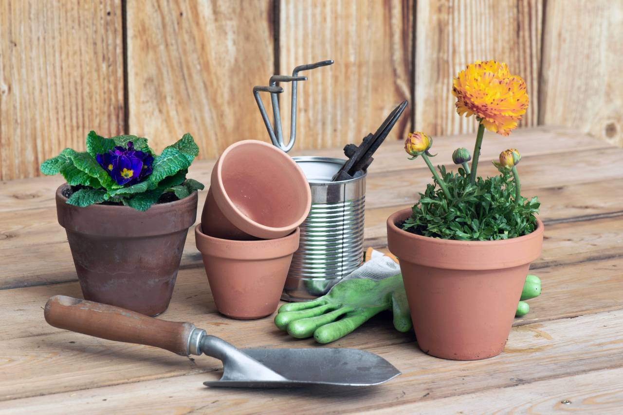 7 accessoires de jardin que les pros s’arrachent (et que personne ne connaît encore)