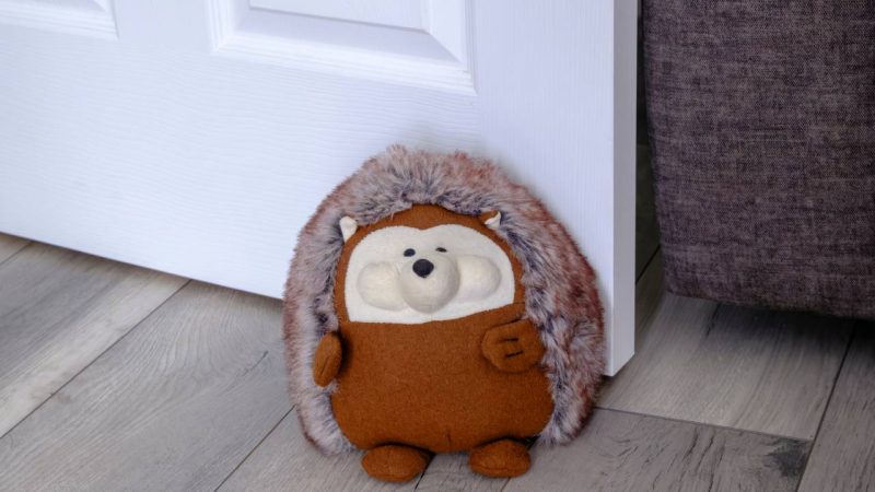 Jolie cale de porte : comment choisir le modèle parfait pour votre intérieur